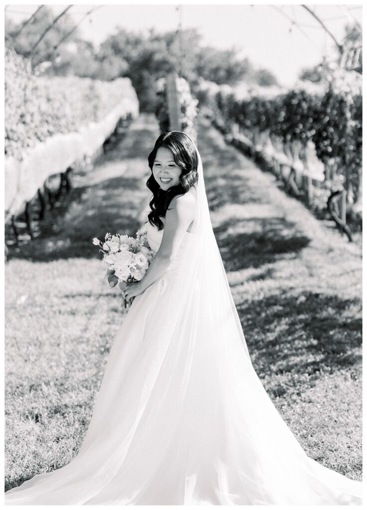 Bridal portrait in the vineyards